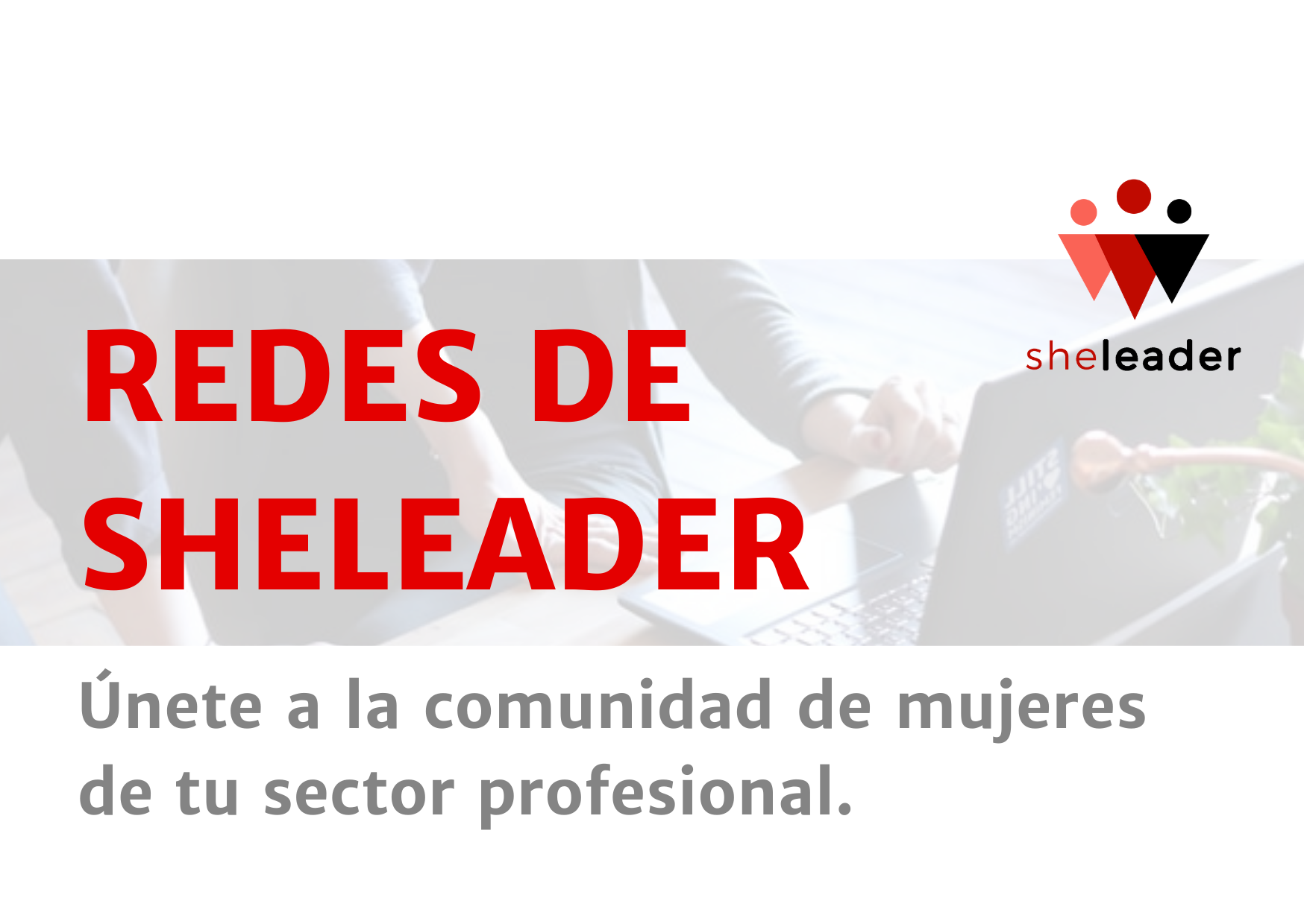 Redes Sheleader